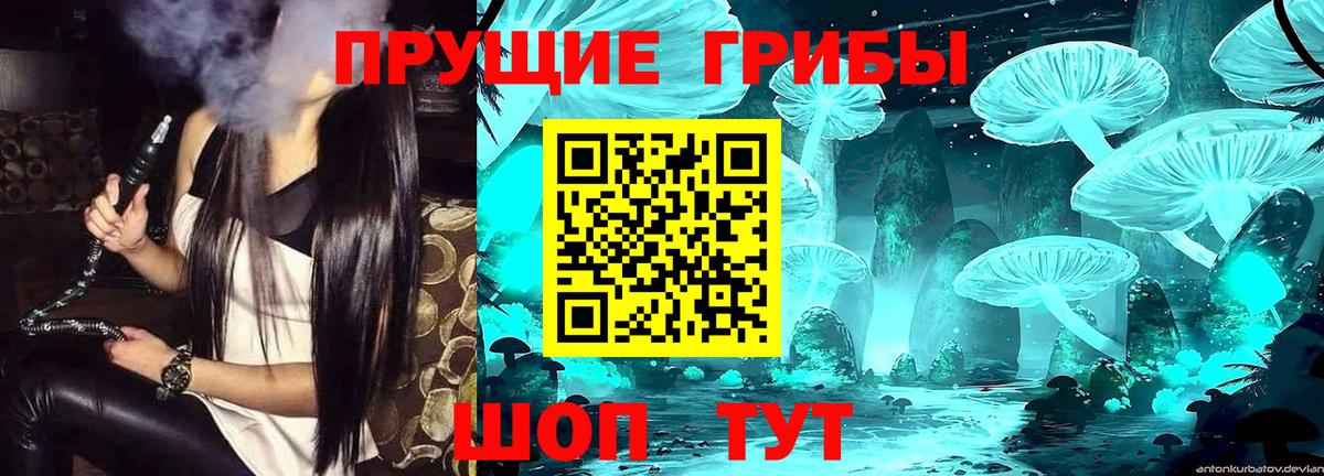 Псилоцибиновые грибы Magic Shrooms  Вход с VPN  Галлюциногенные грибы MAGIC MUSHROOMS  Заринск 