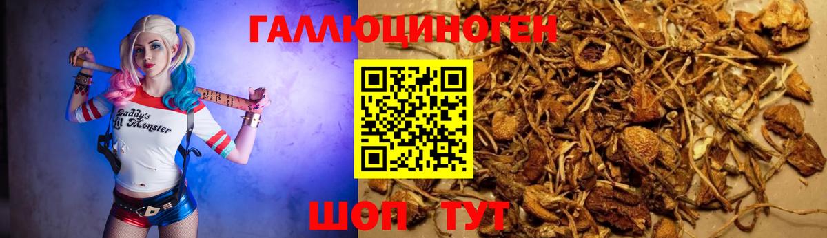 Галлюциногенные грибы Magic Shrooms Заринск